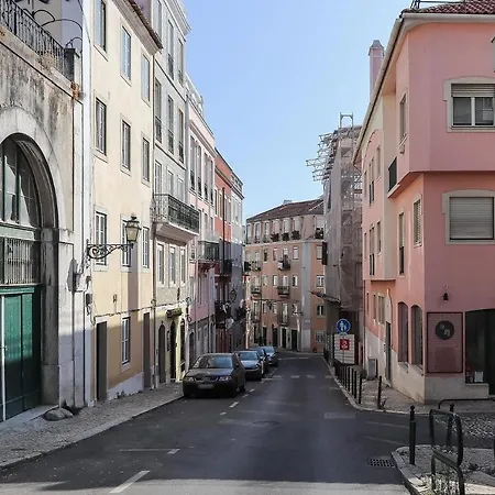 Principe Real Concept By Homing * Lisbon